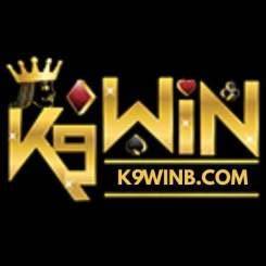 b k9win english