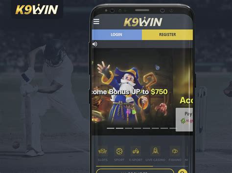 d k9win mobile
