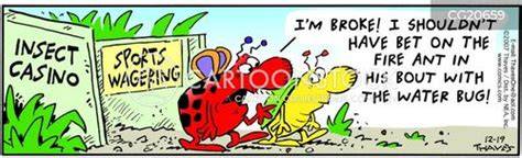 insect betting