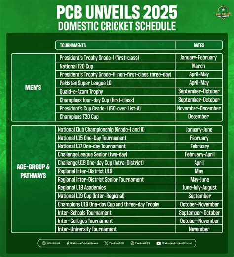 domestic cricket